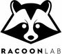 Racoon-LAB Scarpe personalizzate a mano